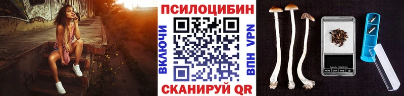 Псилоцибиновые грибы Psilocybine cubensis  МЕГА ТОР  Куртамыш 